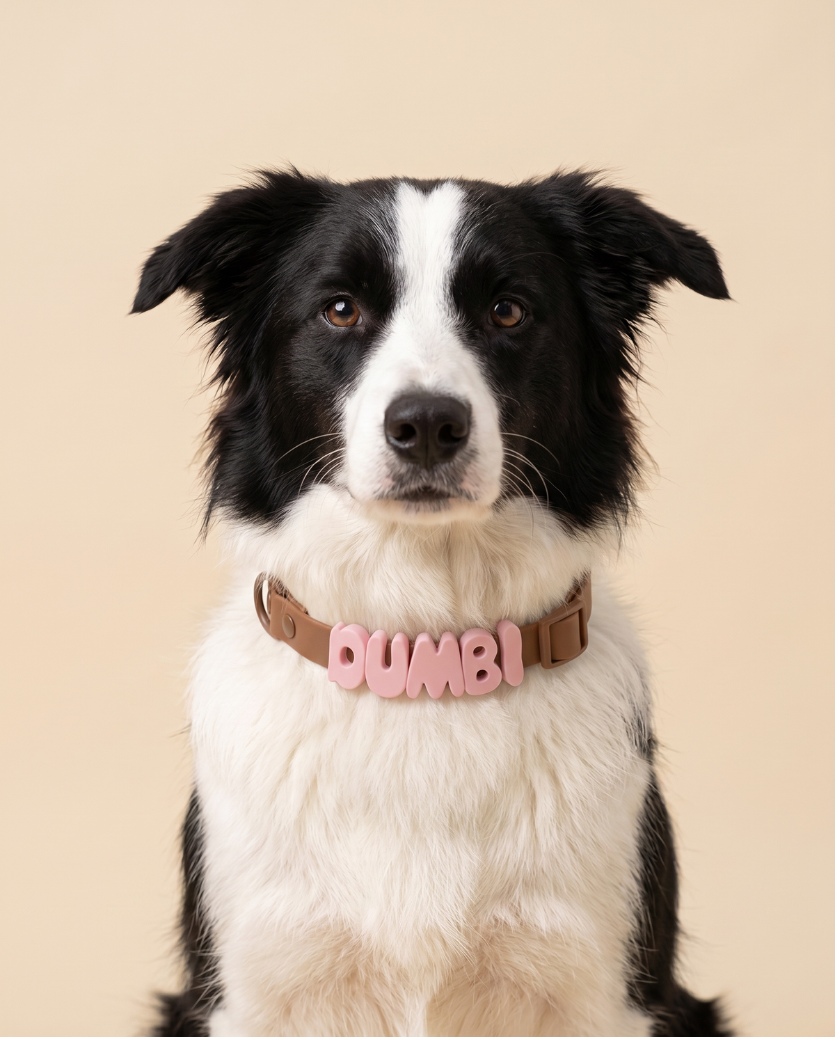 Zestaw obroża + smycz Psiewalone – Border Collie z obrożą DUMBI